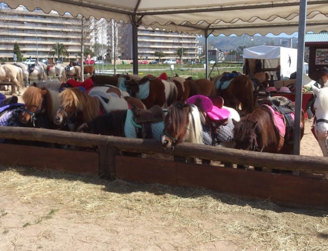 Ponys alineados